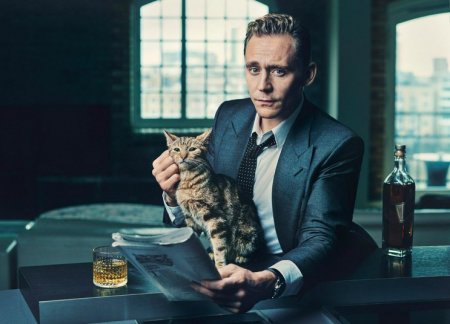 Tom Hiddleston gatto