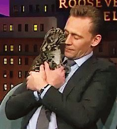 Tom Hiddleston gatto